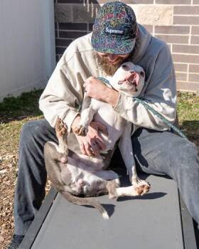 Mixed Breed Dogs Available for Adoption - Malika | PetCurious