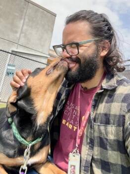 Gerber Baby -  Mixed Breed Dog for Adoption in Wichita, Kansas - Gerber Baby | PetCurious