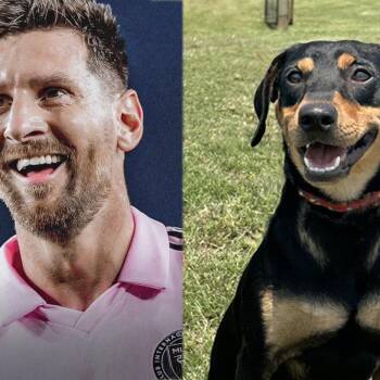 Lionel Messi S1 -  Miniature Pinscher Dog for Adoption in Natchitoches, Louisiana - Lionel Messi S1 | PetCurious