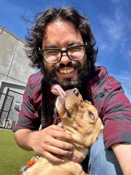 Mixed Breed Dogs Available for Adoption - Tony | PetCurious