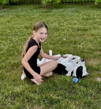 Odie -  Labrador Retriever and Pit Bull Terrier Dog for Adoption in Greenlawn, New York - Odie | PetCurious
