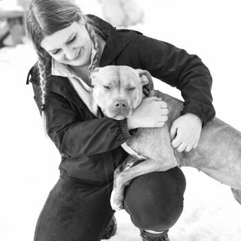 Mixed Breed Dogs Available for Adoption - Gwen | PetCurious