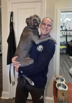 MARTIN -  Pit Bull Terrier and Mixed Breed Dog for Adoption in Atlanta, Georgia - MARTIN | PetCurious