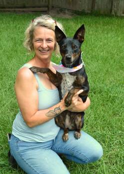 Kay Kay - Dog & CAT Friendly -  Australian Kelpie Dog for Adoption in Gulfport, Mississippi - Kay Kay - Dog & CAT Friendly | PetCurious