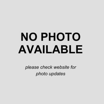 MELENDA -  Terrier Dog for Adoption in San Antonio, Texas - MELENDA | PetCurious