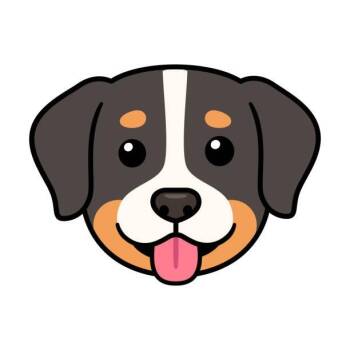 Muffin Man -  Mixed Breed Dog for Adoption in Dickinson, Texas - Muffin Man | PetCurious