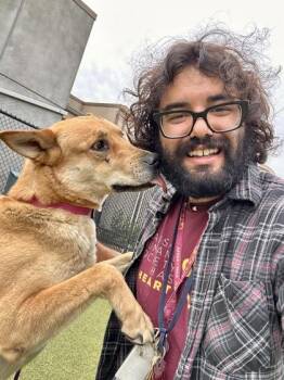Bubu -  Mixed Breed Dog for Adoption in Wichita, Kansas - Bubu | PetCurious