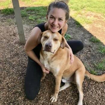 Rescue Mixed Breed Dogs for Adoption in Tunica, Mississippi - Damon | PetCurious