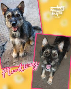 Floodway
