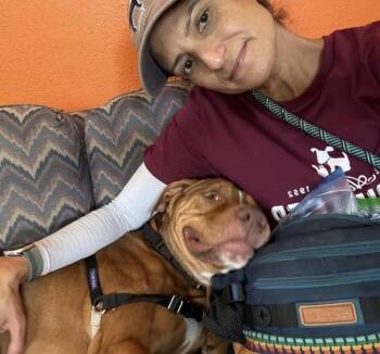 Spartan -  Mixed Breed and Pit Bull Terrier Dog for Adoption in Austin, Texas - Spartan | PetCurious