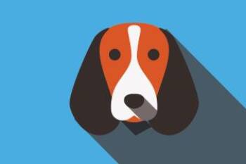 Poodle Dogs Available for Adoption in Dayton, Minnesota - Denice | PetCurious