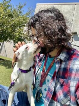 Mr. Worldwide -  Mixed Breed Dog for Adoption in Wichita, Kansas - Mr. Worldwide | PetCurious