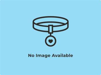 JENNI -  Pit Bull Terrier and Mixed Breed Dog for Adoption in Phoenix, Arizona - JENNI | PetCurious