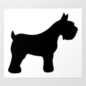 Mixed Breed Dogs Available for Adoption - Braden | PetCurious