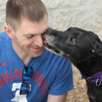 Maxine -  Mixed Breed Dog Available for Adoption in Philadelphia, Pennsylvania - Maxine | PetCurious