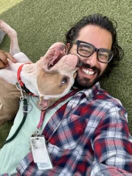 Lester -  Mixed Breed Dog for Adoption in Wichita, Kansas - Lester | PetCurious