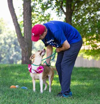 Sunnie -  Husky Dog for Adoption in Coatesville, Pennsylvania - Sunnie | PetCurious