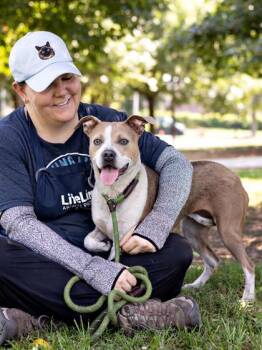 Annora- IN FOSTER -  Mixed Breed Dog for Adoption in Chamblee, Georgia - Annora- IN FOSTER | PetCurious