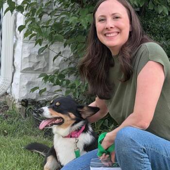 DOUGIE -  Cardigan Welsh Corgi Dog for Adoption in Waterford, New Jersey - DOUGIE | PetCurious