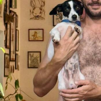 Yahtzee -  Rat Terrier Dog for Adoption in New Orleans, Louisiana - Yahtzee | PetCurious