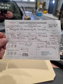 Mixed Breed Dogs Available for Adoption in Minot, North Dakota - Tramp 26-9534 | PetCurious