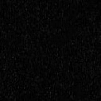 Rescue Hound Dogs for Adoption in Blair, Wisconsin - Rocky | PetCurious