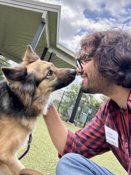 Zelda -  Mixed Breed Dog for Adoption in Wichita, Kansas - Zelda | PetCurious