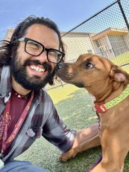 Sky Zone -  Mixed Breed Dog for Adoption in Wichita, Kansas - Sky Zone | PetCurious