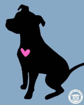 Pit Bull Terrier Dogs Available for Adoption - Sweet Pea (6 Months Old) | PetCurious