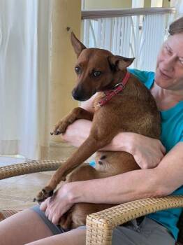 Terrier and Mixed Breed Dogs Available for Adoption - Magic | PetCurious