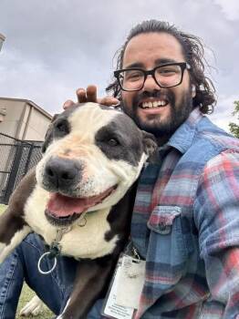 Mixed Breed Dogs Available for Adoption in Wichita, Kansas - Duke (FOSTER TO ADOPT) | PetCurious