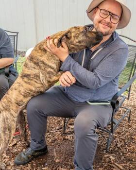 Cassie -  Mixed Breed Dog for Adoption in Chamblee, Georgia - Cassie | PetCurious