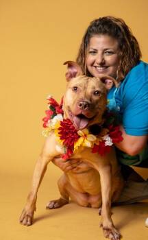 Chorizo -  Pit Bull Terrier and Mixed Breed Dog for Adoption in Atlanta, Georgia - Chorizo | PetCurious