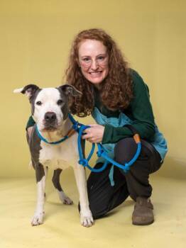 Bambi -  Mixed Breed Dog for Adoption in Atlanta, Georgia - Bambi | PetCurious