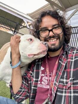 King -  Mixed Breed Dog for Adoption in Wichita, Kansas - King | PetCurious
