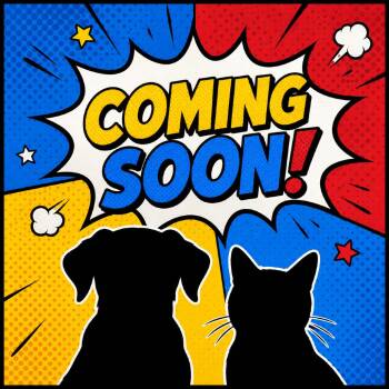 Rosie -  German Shepherd Dog and Australian Shepherd Dog Available for Adoption in East St. Louis, Illinois - Rosie | PetCurious