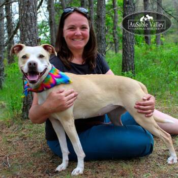 Rescue Mixed Breed Dogs for Adoption in Grayling, Michigan - Sabrina Bark-Penter | PetCurious