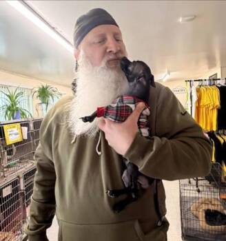 Chihuahua Dogs Available for Adoption in Hobart, Indiana - Kodak | PetCurious