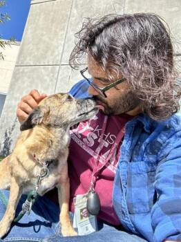 Charity -  Mixed Breed Dog for Adoption in Wichita, Kansas - Charity | PetCurious
