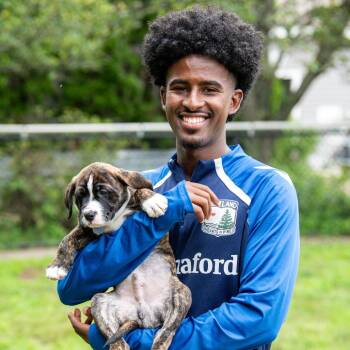 Hersi -  Mixed Breed Dog for Adoption in Kennebunk, Maine - Hersi | PetCurious