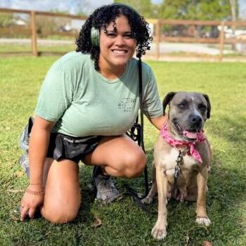 Pippa Love Secret Keeper -  Catahoula Leopard Dog and Pit Bull Terrier Dog for Adoption in Friendswood, Texas - Pippa Love Secret Keeper | PetCurious
