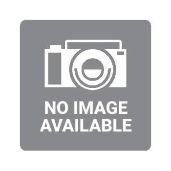 Lizzie -  Pit Bull Terrier and Black Labrador Retriever Dog for Adoption in Hinesville, Georgia - Lizzie | PetCurious