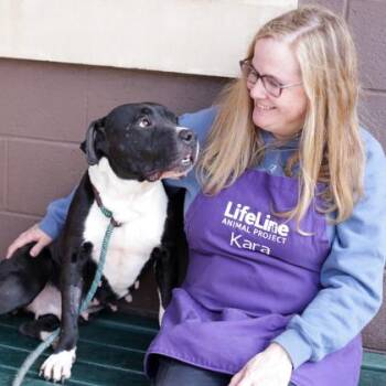 Mixed Breed Dogs Available for Adoption in Chamblee, Georgia - Mindy | PetCurious