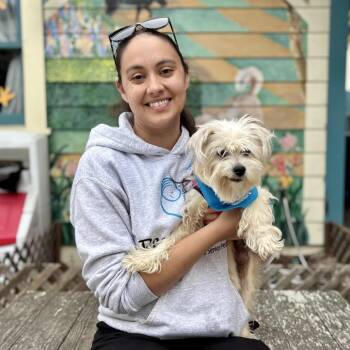 Loretta -  Maltese and Mixed Breed Dog for Adoption in Pacific Grove, California - Loretta | PetCurious