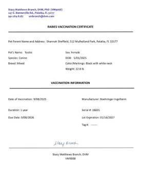 Mixed Breed Dogs Available for Adoption in St. Augustine, Florida - Tootie | PetCurious