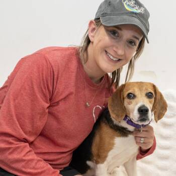 Judy -  Beagle Dog Available for Adoption in Wheeling, Illinois - Judy | PetCurious
