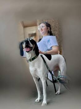 Rescue Hound Dogs for Adoption in Franklin, Kentucky - ALICE | PetCurious