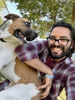 Escape Pod -  Mixed Breed Dog for Adoption in Wichita, Kansas - Escape Pod | PetCurious