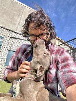 Mixed Breed Dogs Available for Adoption in Wichita, Kansas - Goblin Dynamite | PetCurious