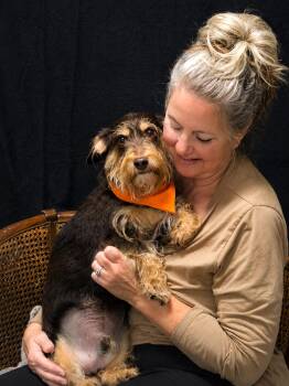 Rusty -  Dachshund and Miniature Poodle Dog for Adoption in Cheboygan, Michigan - Rusty | PetCurious
